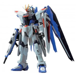 RG 1/144 Gundam Freedom