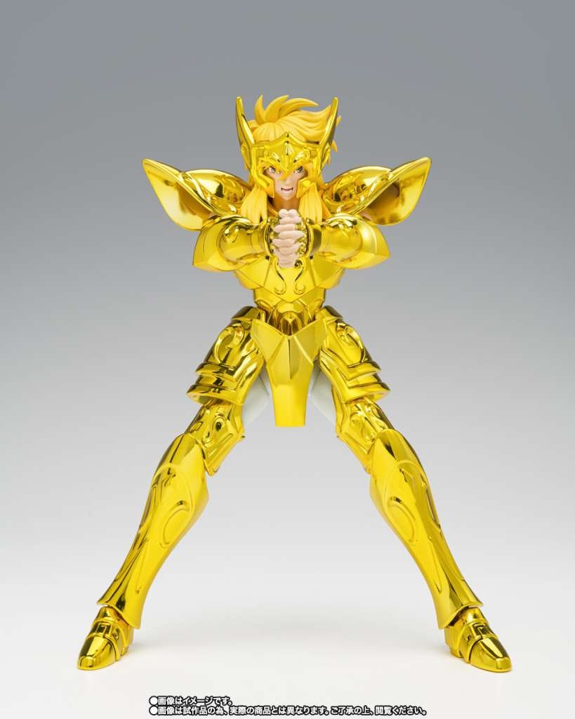 Bandai Saint Seiya Myth Cloth EX Aquarius Hyoga Inheritor Of Gold Cloth