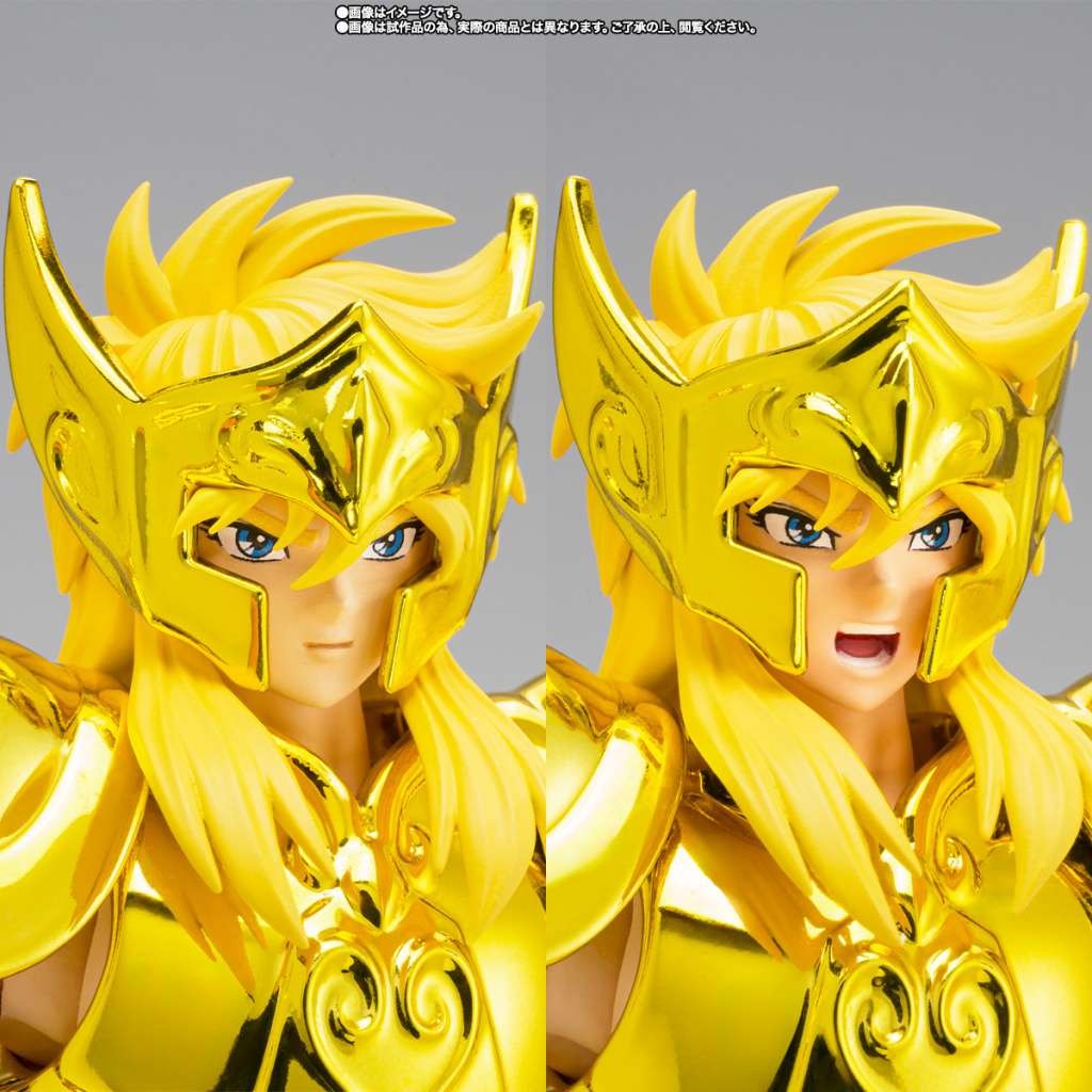Bandai Saint Seiya Myth Cloth EX Aquarius Hyoga Inheritor Of Gold Cloth