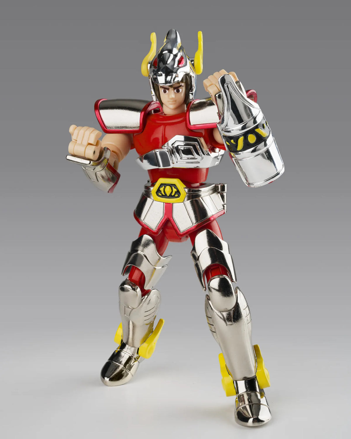 Bandai Saint Cloth Series Pegasus Cloth 1st Bronze Cloth Box Limited Edition