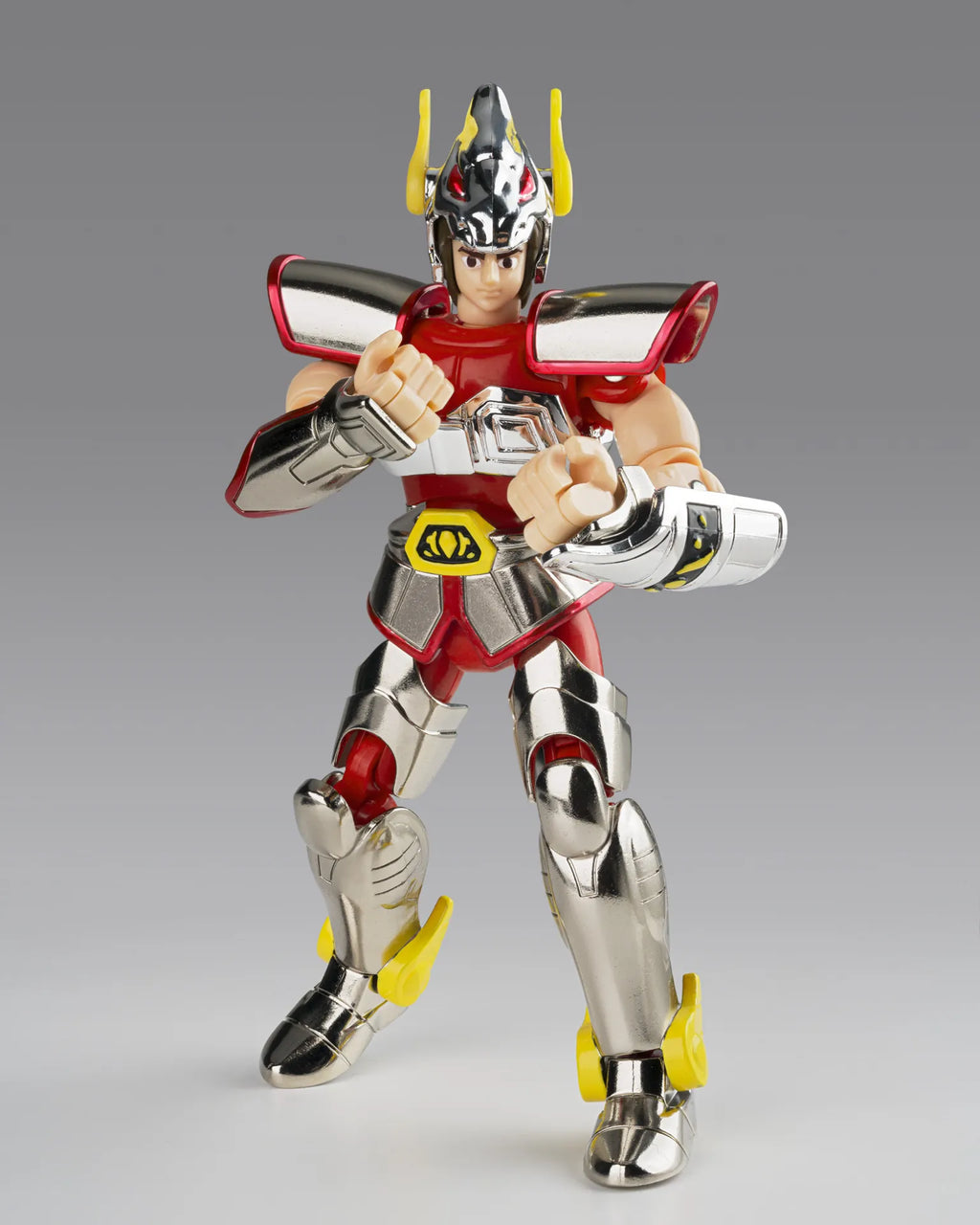 Bandai Saint Cloth Series Pegasus Cloth 1st Bronze Cloth Box Limited Edition