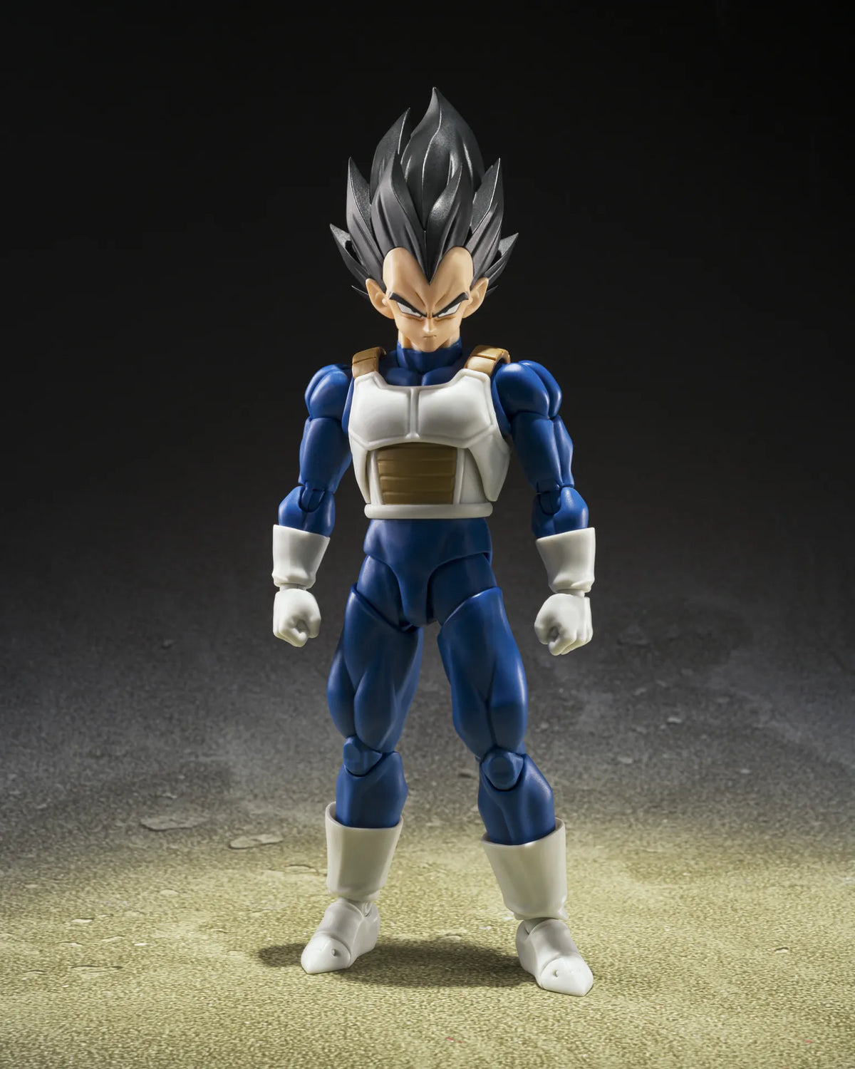 Bandai S.H.Figuarts Dragon Ball Z Vegeta Z Fighters
