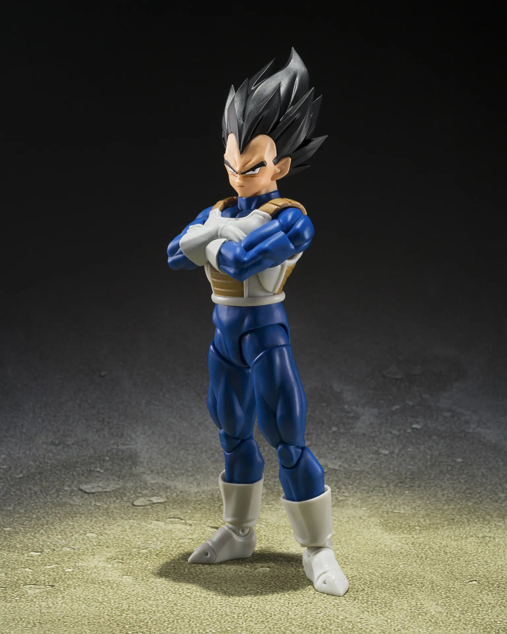Bandai S.H.Figuarts Dragon Ball Z Vegeta Z Fighters