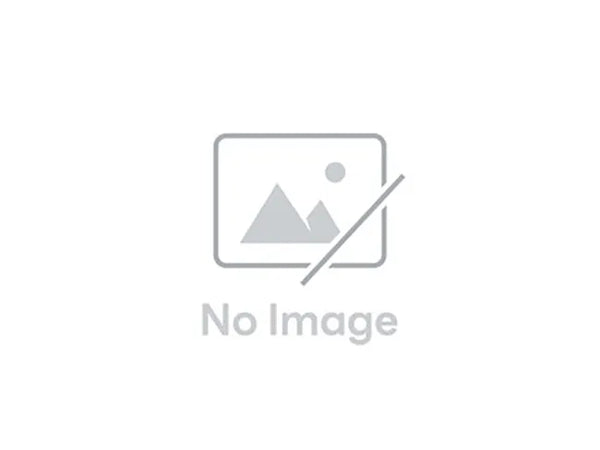 Bandai Gunpla High Grade Gundam Seed Freedom Zero HGCE 1/144 Gundam Freedom Zero