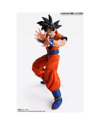 Bandai Imagination Works Dragon ball Z DBZ Goku Action Figure(Aperto x Controllo)